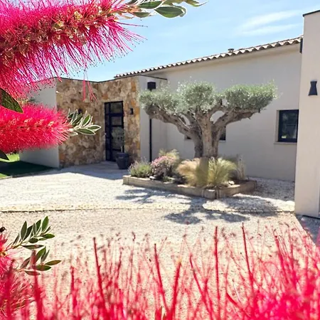 Moderne Dans Le Golfe De Saint Tropez, à 2 Km De La Villa *